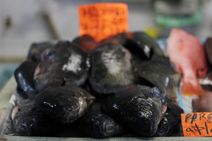 Repunta un 90% la venta de pescados y mariscos en viernes santo en Veracruz  puerto - AVC Noticias