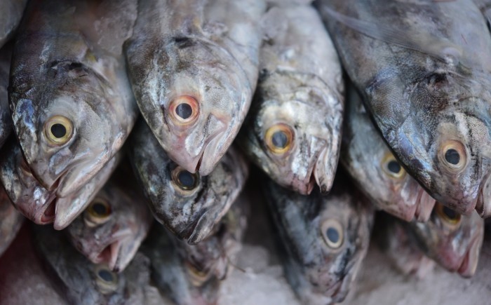 De otros estados los pescados y mariscos que se consumen en Veracruz - AVC  Noticias