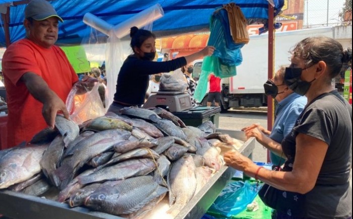 De otros estados los pescados y mariscos que se consumen en Veracruz - AVC  Noticias